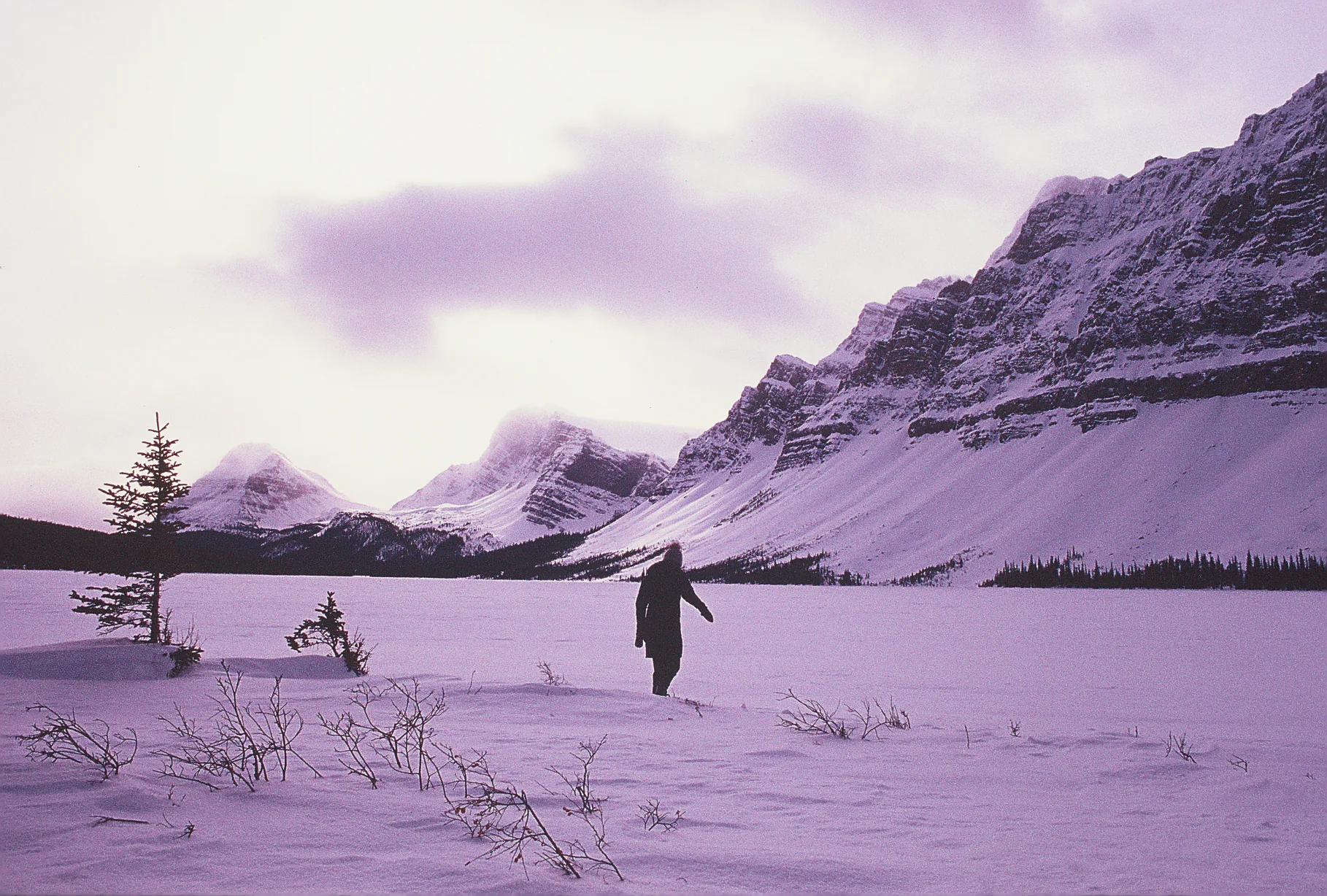 Silhouetted person walks across a snow-covered frozen lake toward fog-shrouded mountains under a pale violet winter sky.