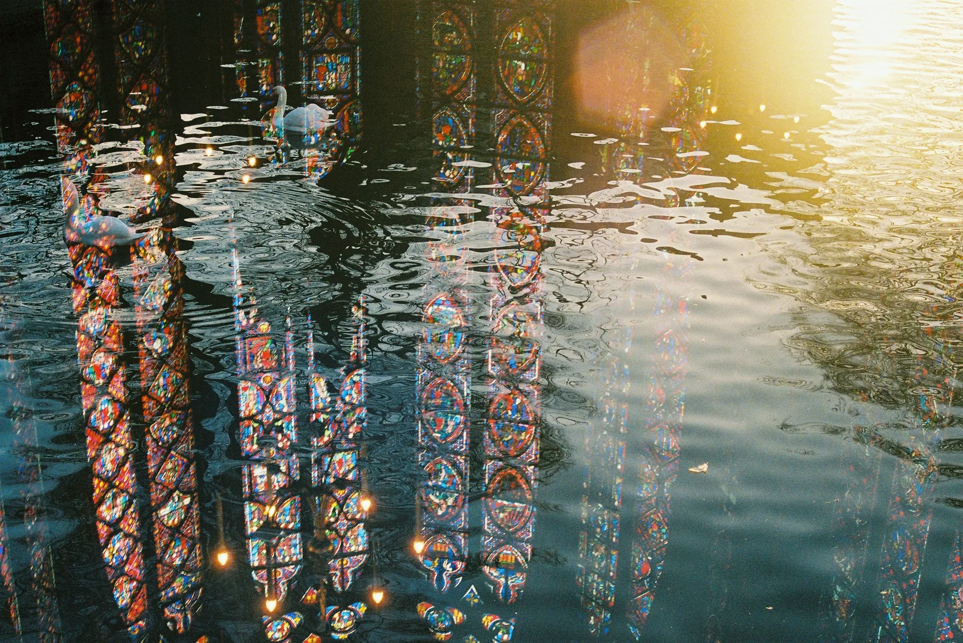 Reflections of tall stained glass cathedral windows shimmer across rippling water with a swan and golden sunlight in the background.