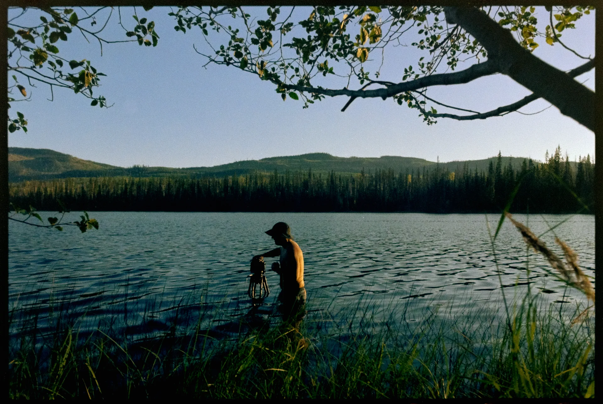 A shirtless man in a cap stands waist-deep in a calm lake at dusk, framed by overhanging branches with forested hills behind.