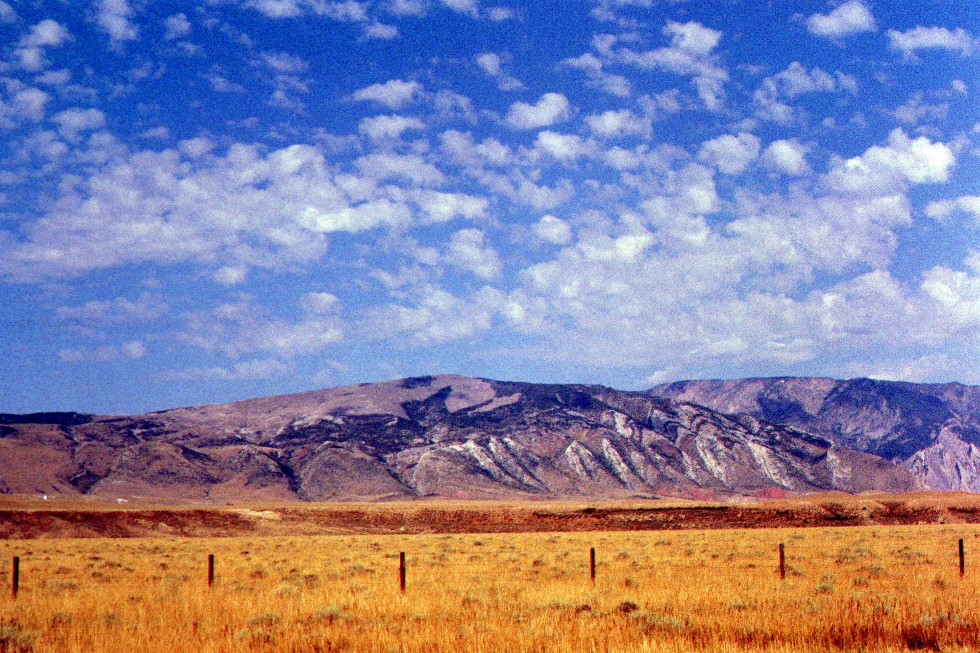 Dry golden grassland with a fence line stretches toward eroded brown mountains under a bright blue sky with scattered clouds.