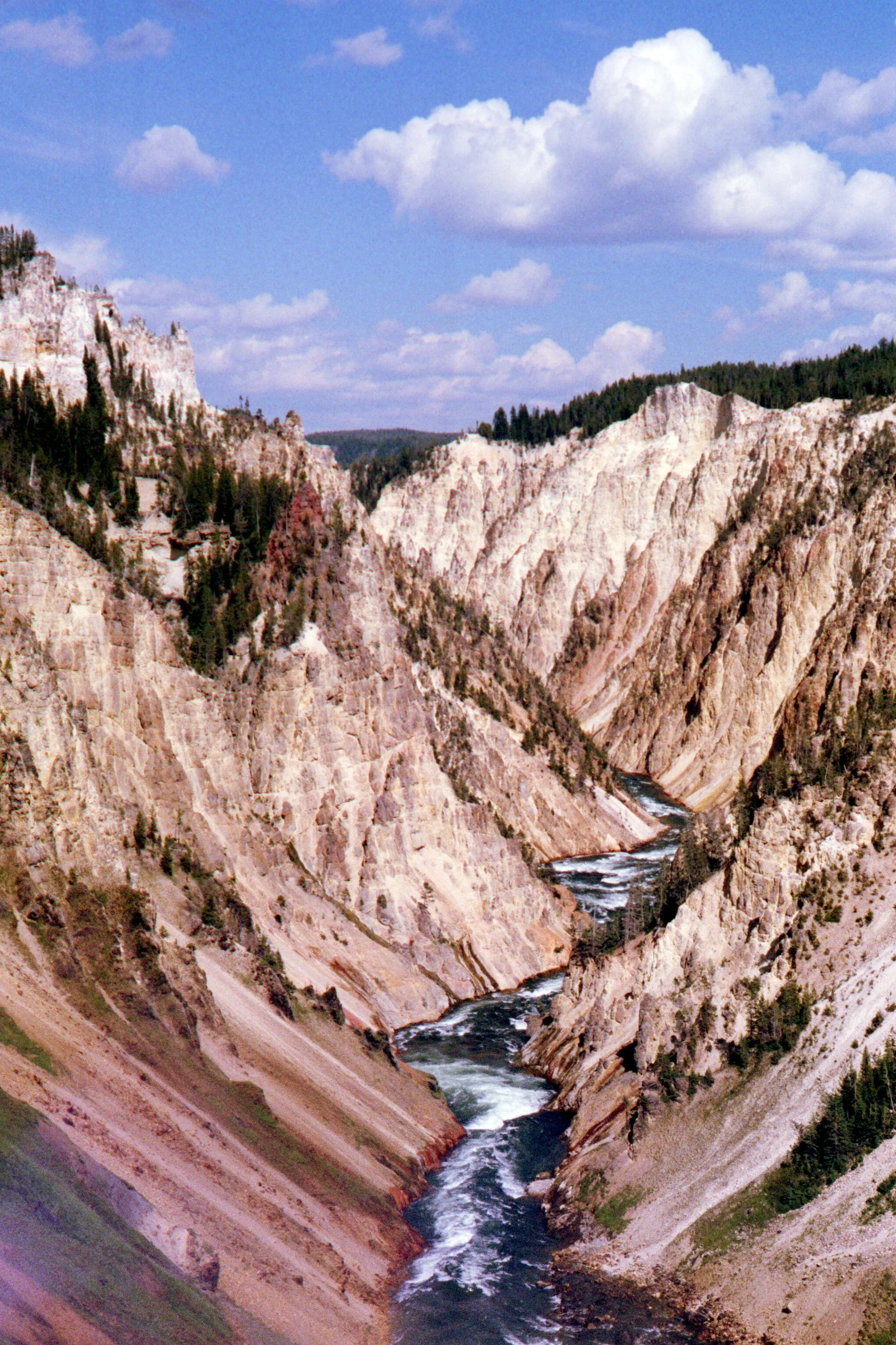 A river rushes through the bottom of a deep canyon with steep pale yellow and pink rock walls topped by evergreen trees.